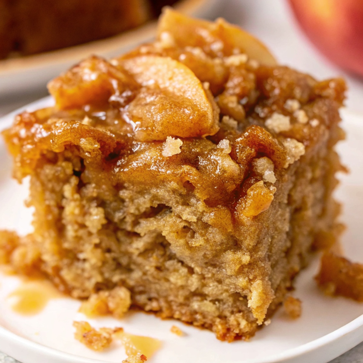Amish Applesauce Cake