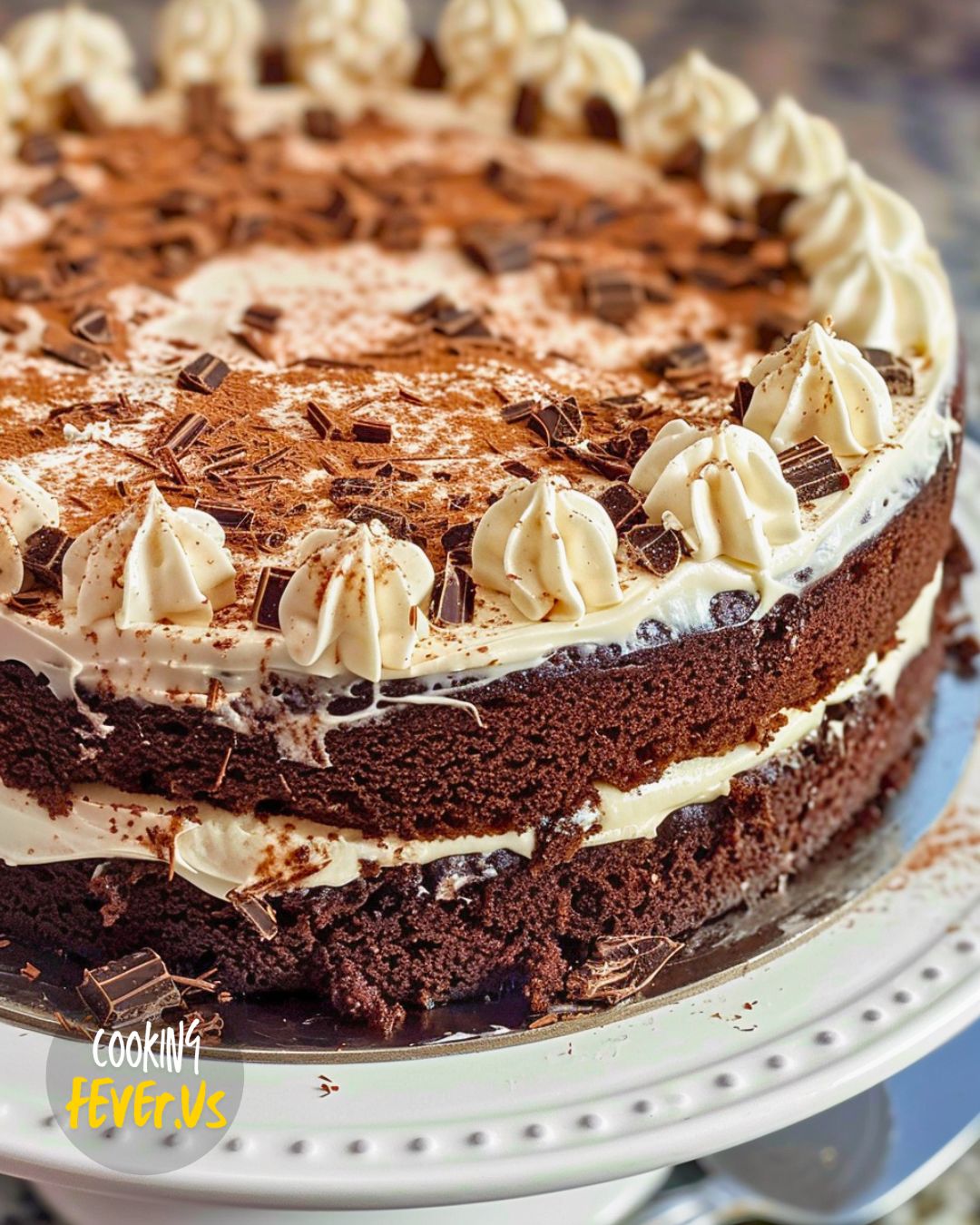 Irish people visual data 7