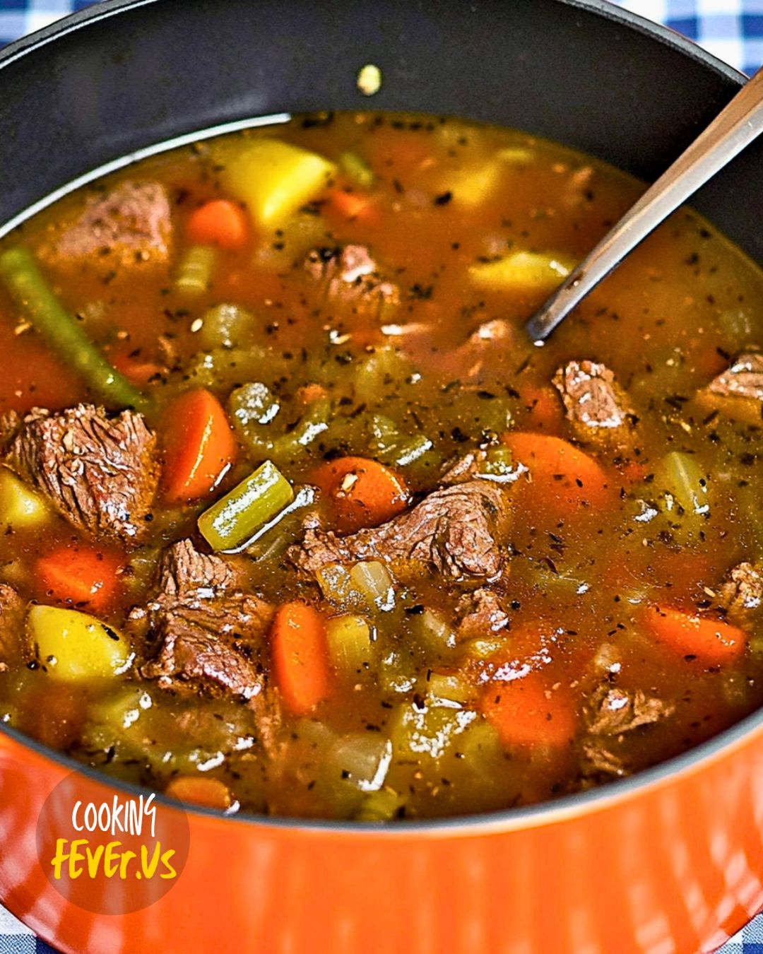 Beef Vegetable Soup Recipe