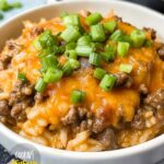 Beef and Rice Casserole Recipe