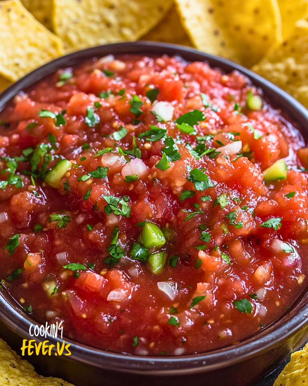 Canned Diced Tomato Salsa Recipe