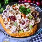 Best Cranberry Pecan Chicken Salad Recipe