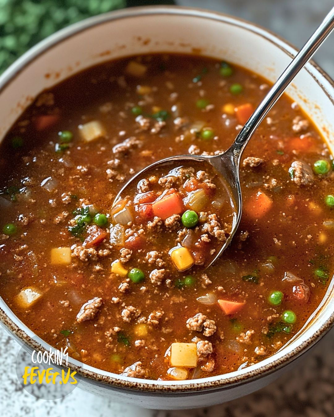 Hamburger Soup Recipe