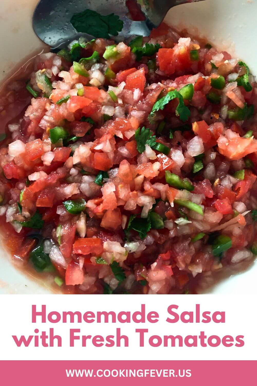 Homemade Salsa with Fresh Tomatoes
