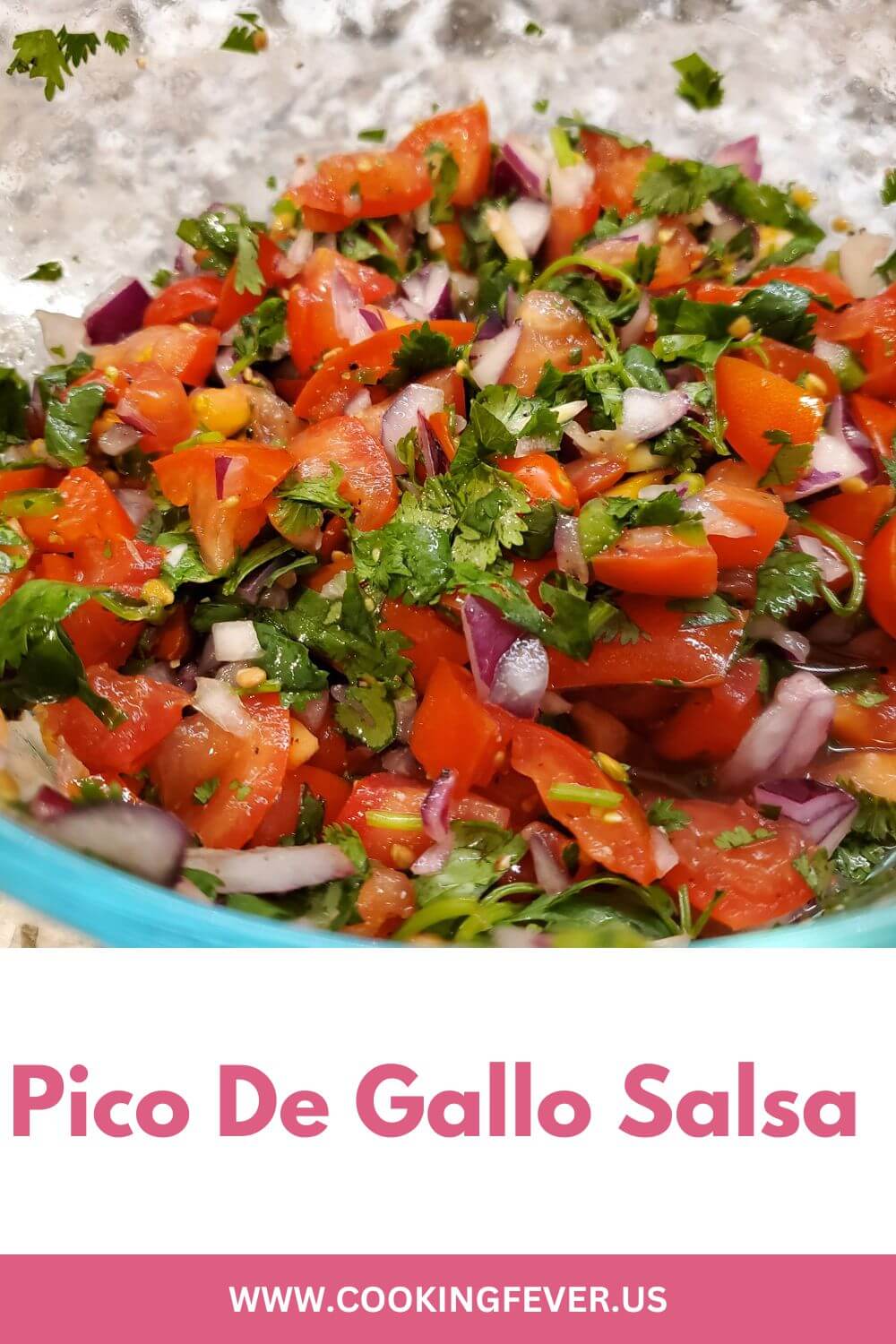 Pico De Gallo Salsa