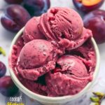 Plum Sorbet Recipe