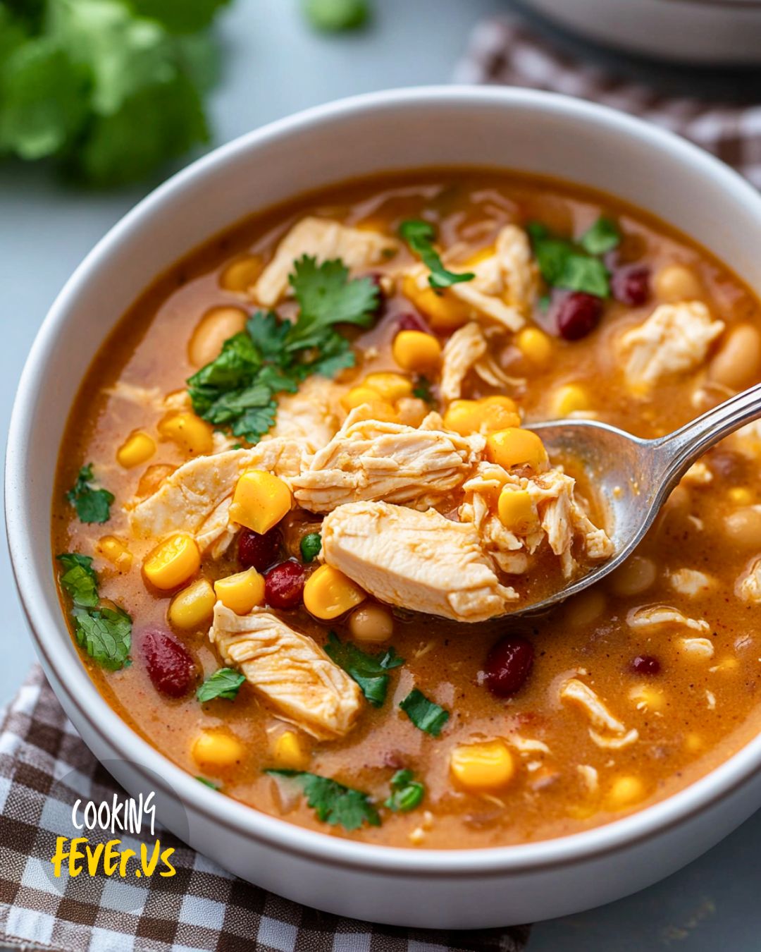 White Bean Chicken Chili Recipe